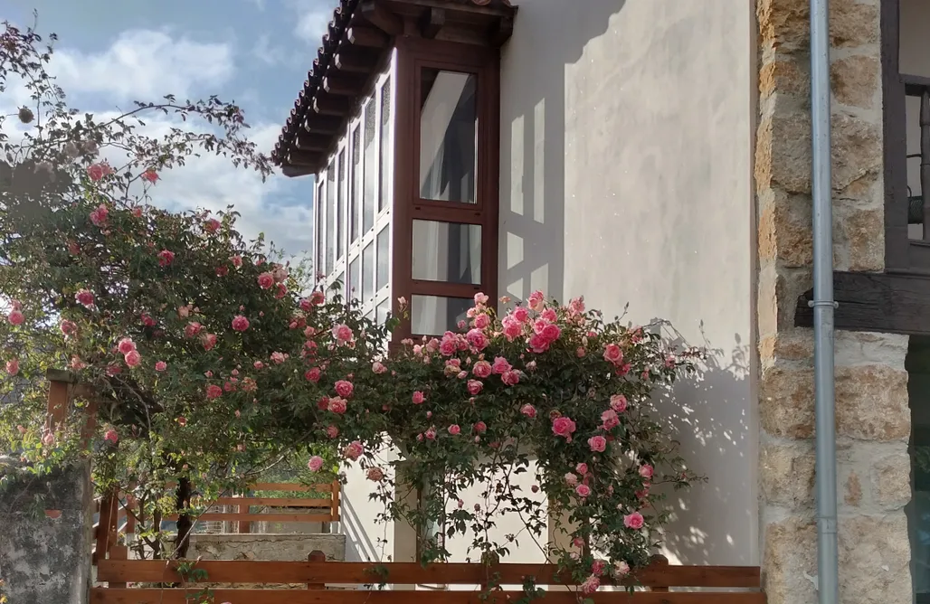 Alojamiento Arriondas El Rosal 2