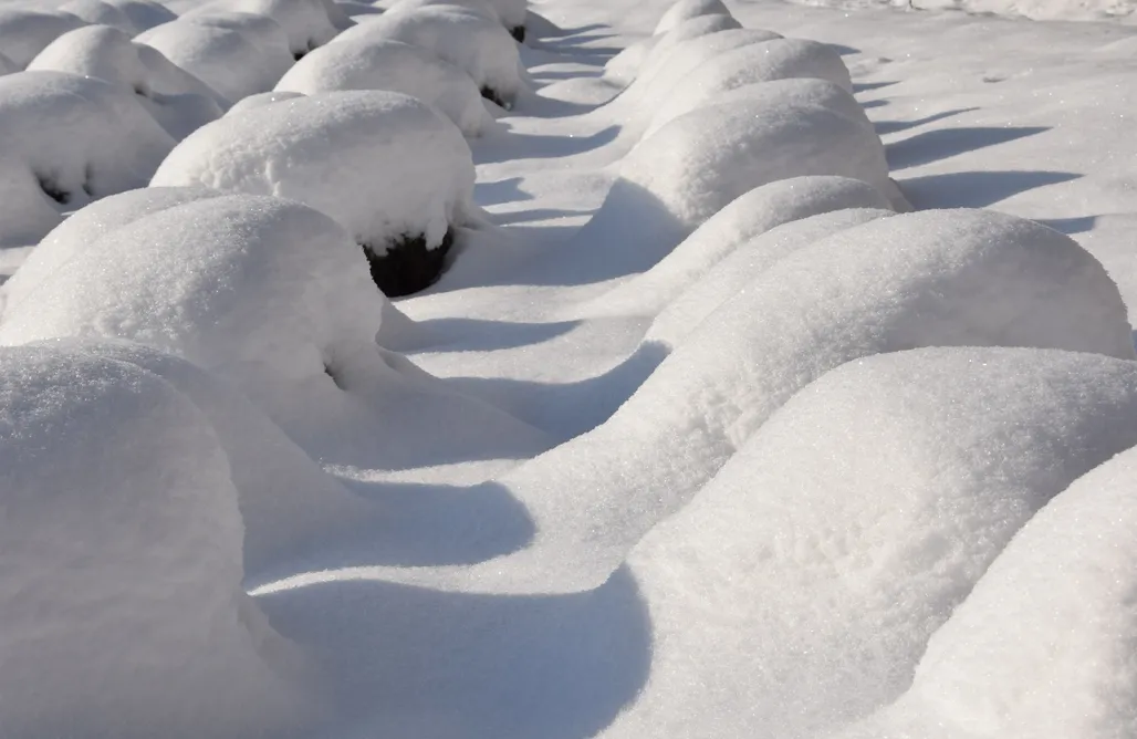 noclegi AlohaCamp Lawendowa Osada 1