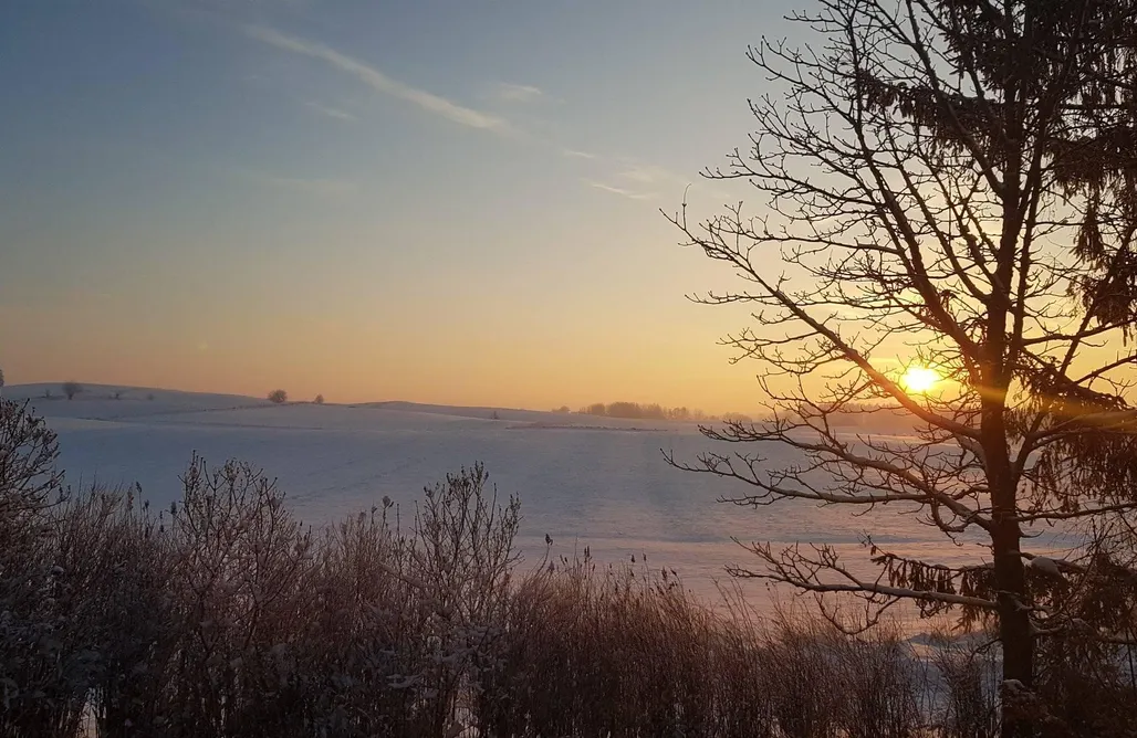 Unterkunft AlohaCamp Agrozagadka- Domek w sadzie 1