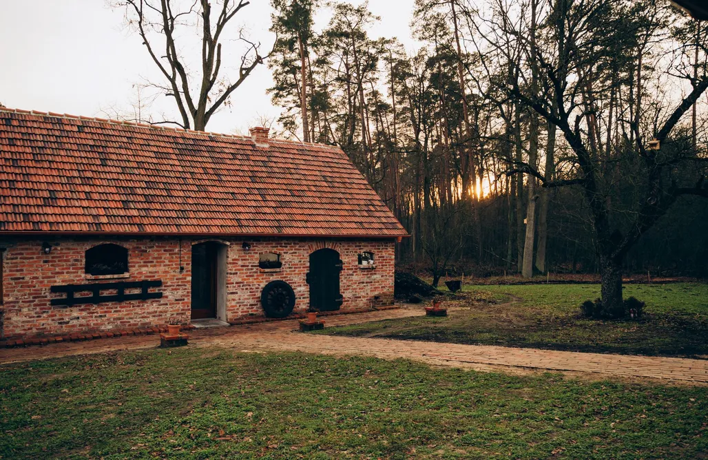 Anastazewo noclegi Ginkgo w lesie 2