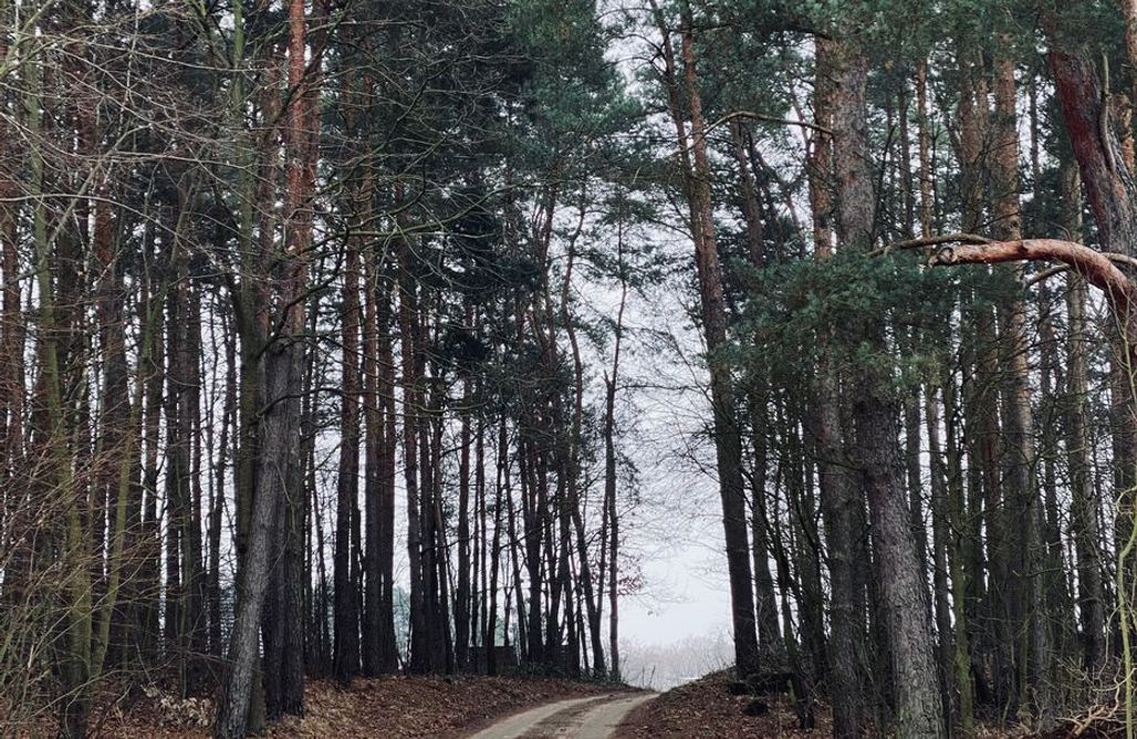 AlohaCamp Domek Sankakkei 1 1