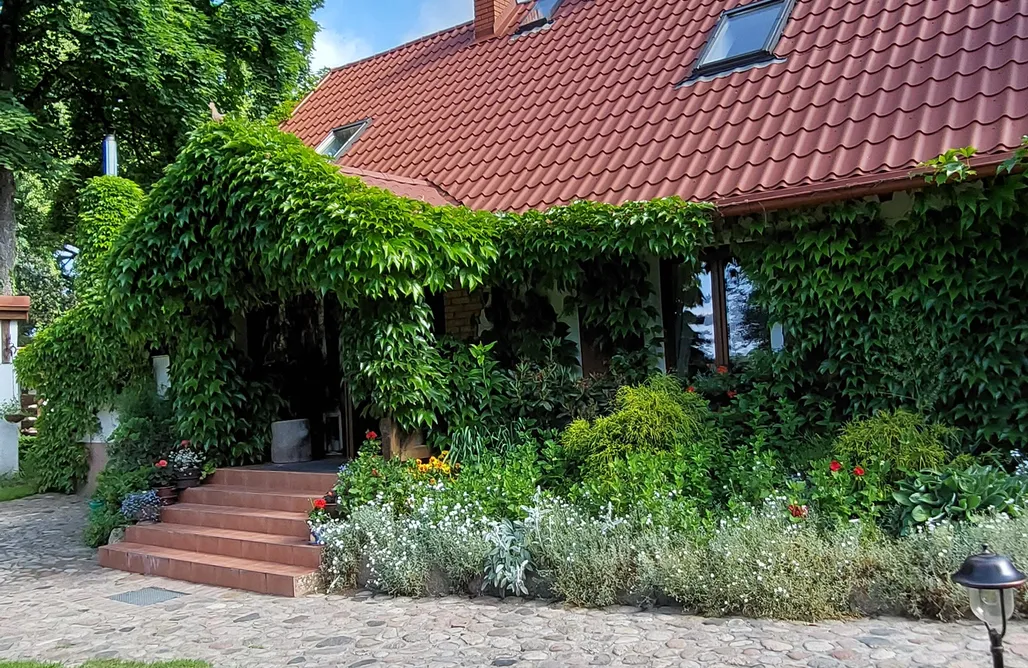 AlohaCamp Dom Nad Rumianem  1