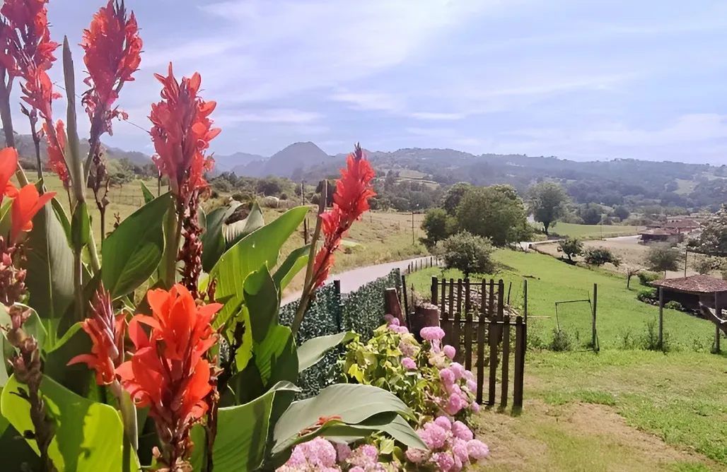 Alojamiento Arriondas Casa Malba 3