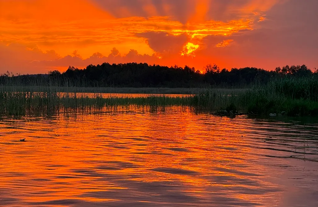 AlohaCamp accommodation Loft na Wodzie w środku lasu Bogaczewo 1