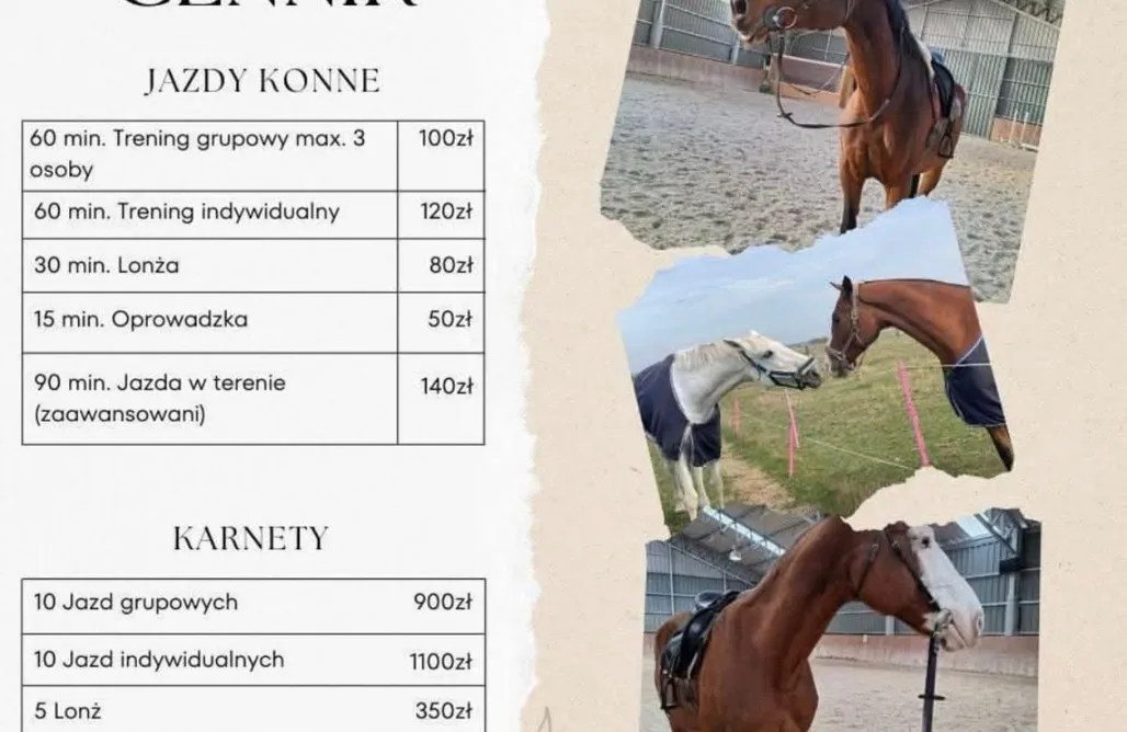 Agroturystyka Dolnośląskie ze zwierzętami Stajnia Paskudy pokoje 3