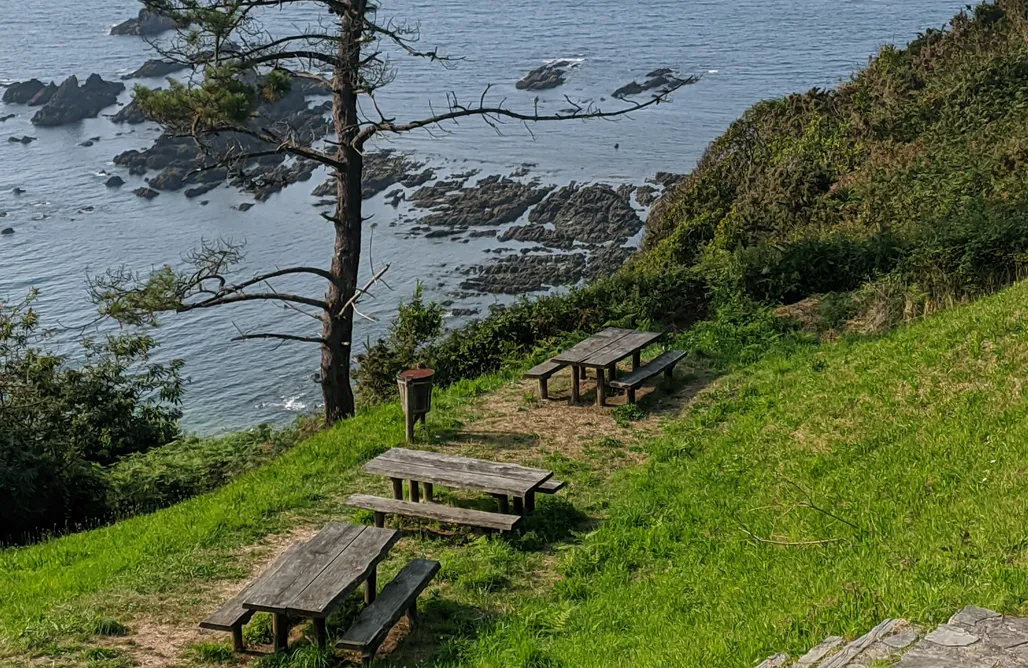 alojamientos AlohaCamp Mini Adela 1