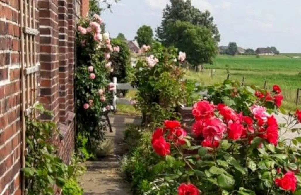 Ferienhaus direkt am Strand Hygge Cottage am Meer 3