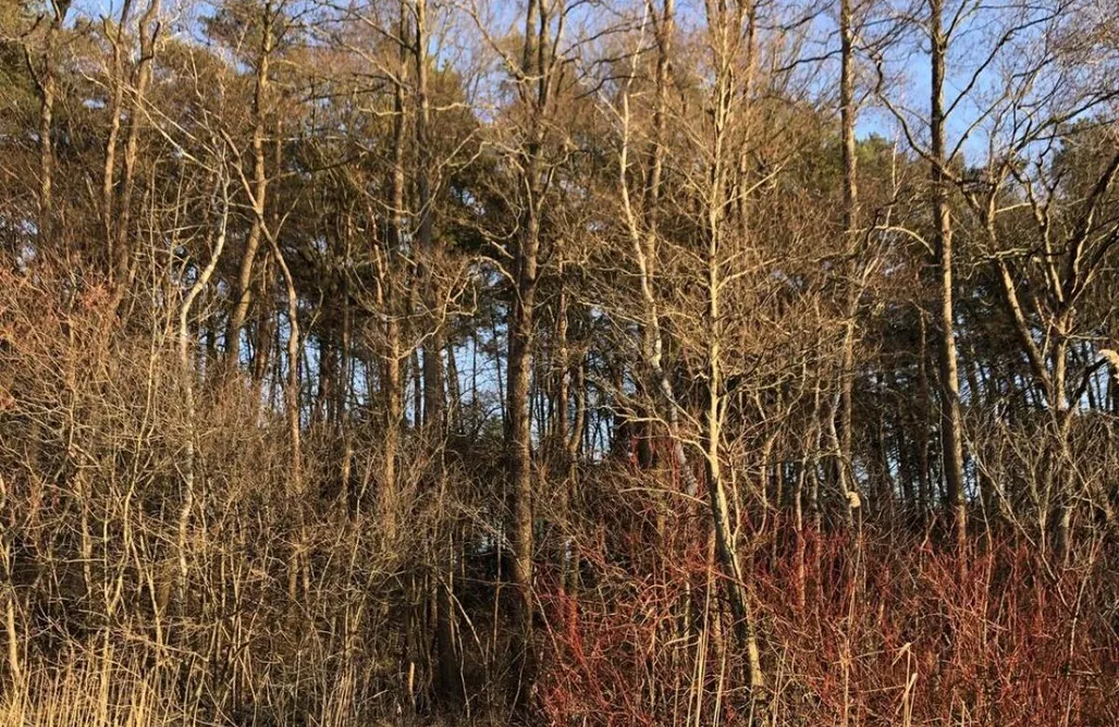 Brzozowa noclegi Moja Stay - wyjątkowy domek z sauną 3