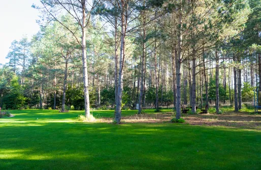 Zdjęcie obiektu Willa Leśna Strzecha