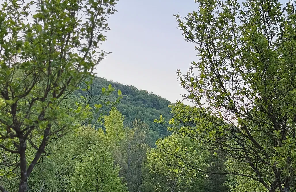 ubytovanie AlohaCamp Lotna Pszczoła 1