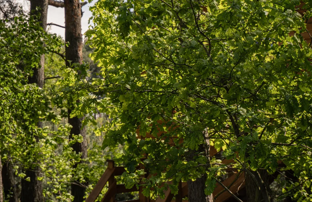 noclegi AlohaCamp Domek na Bielanach 4