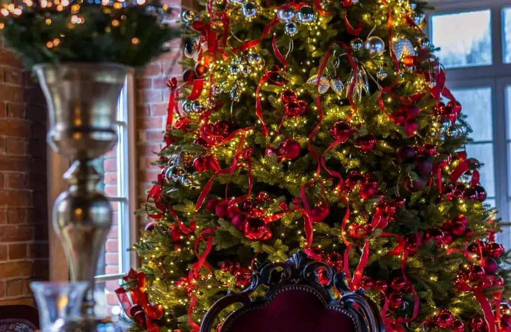 Alloggi AlohaCamp Dworek Atrium 4