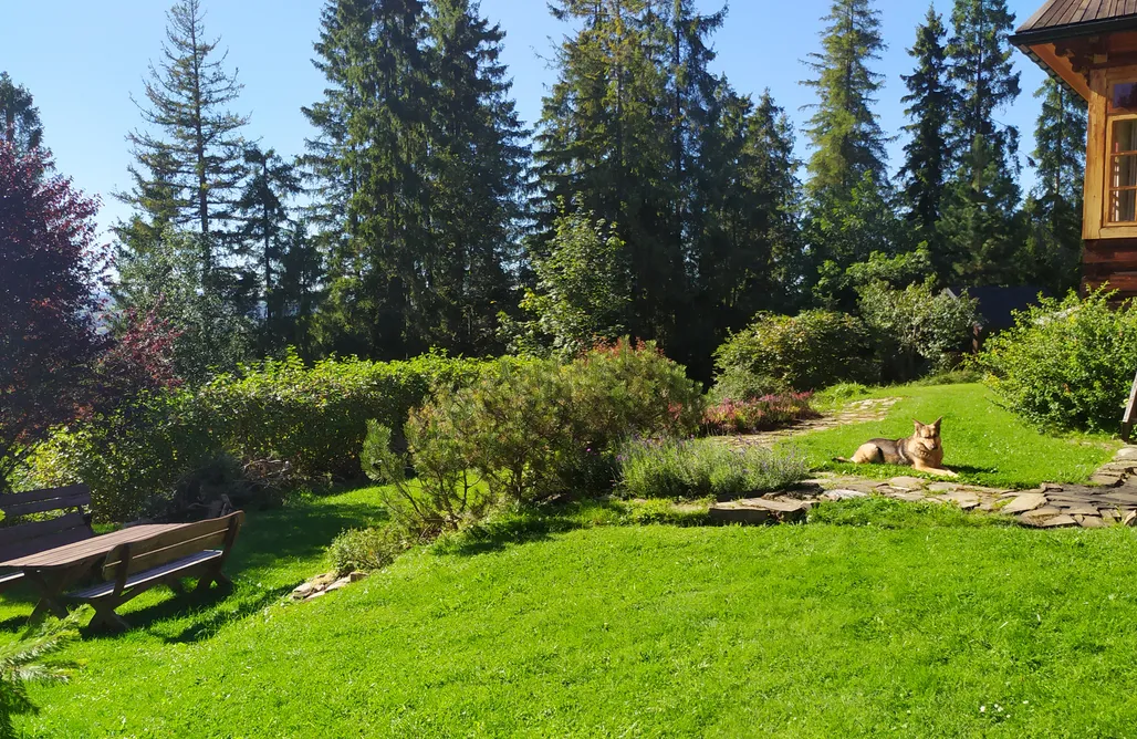 noclegi AlohaCamp Dom na Pawlikach 5