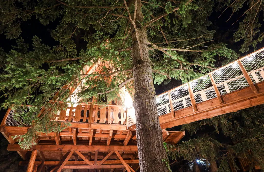 AlohaCamp Cabaña en el Árbol Premium 2