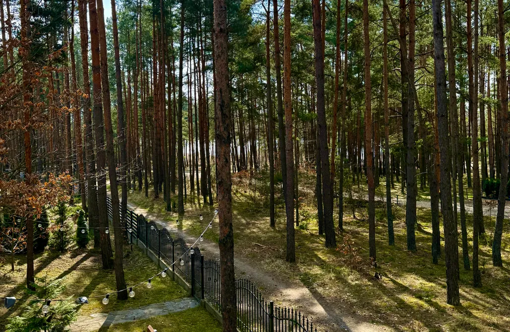 Unterkunft AlohaCamp Domek Chańcza  1