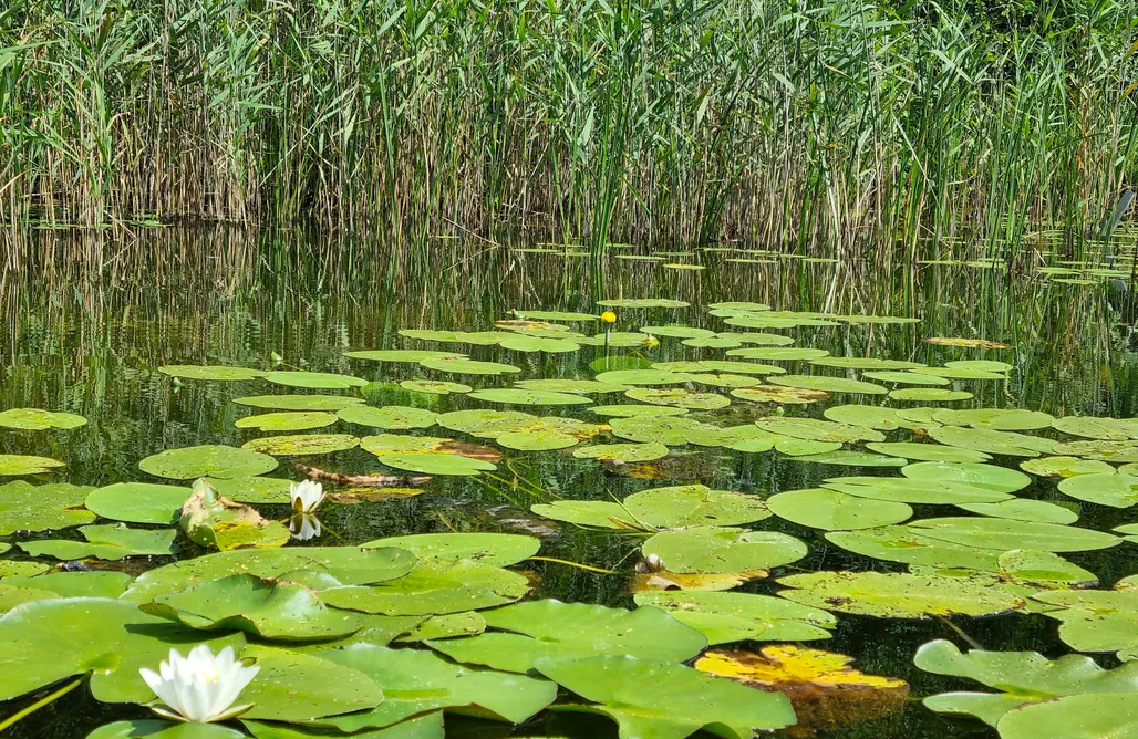 Weekend dla Dwojga Mazury Morenowe Wzgórze - dom nad jeziorem 1