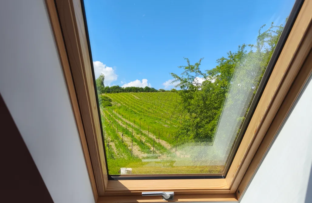 Agroturystyka Kielce Winnica Kosmos 3