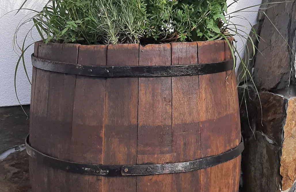 noclegi AlohaCamp Chata Kasi 1