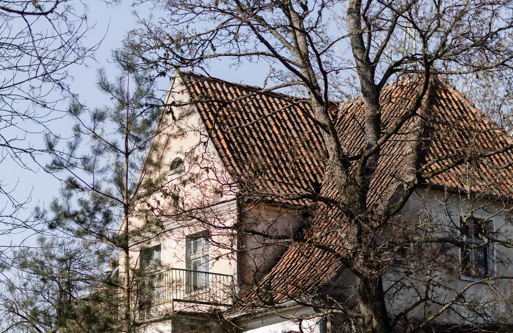 Kosa Śpiew AlohaCamp