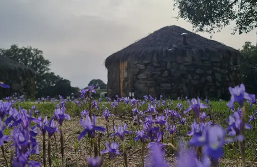 Imagen de Chozos Las Flores de la Dehesa