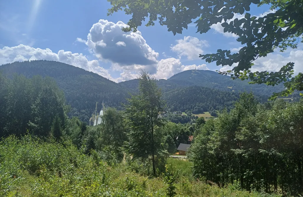 AlohaCamp Cichosza 1