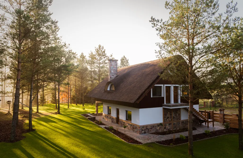 Sprawdź nowości w AlohaCamp🌲 Leśna Strzecha Apartamenty 2