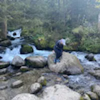 Wiktoria používateľ