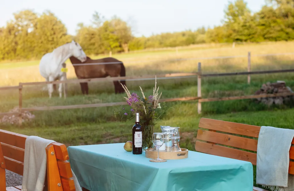 Taszów Domki Domki Sudecka Przystań  1