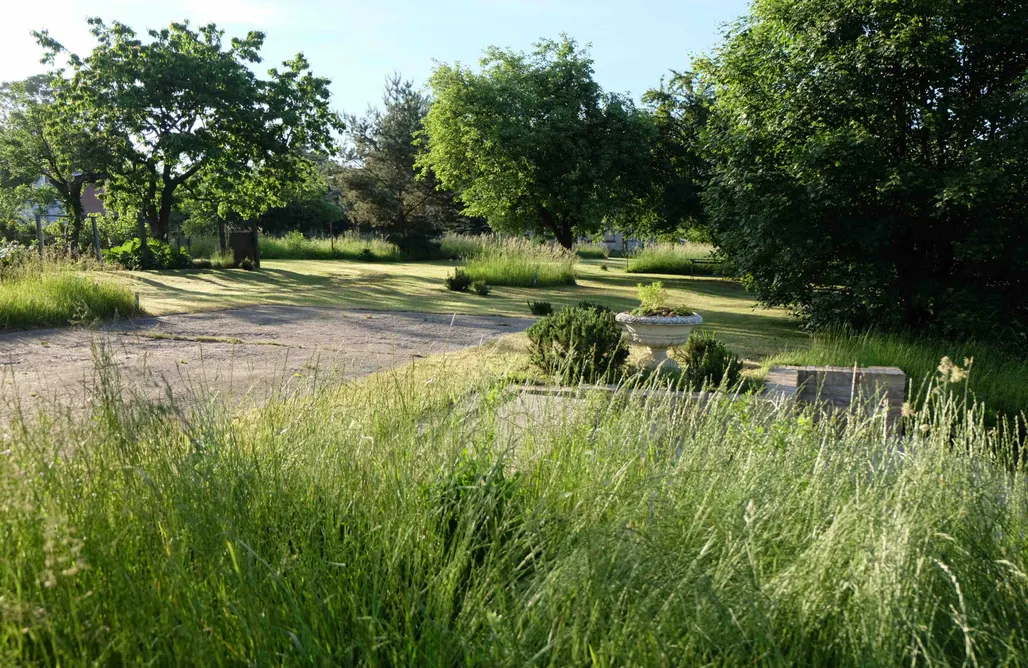 Hütte Im Wald Mieten Zingst Das Schnitterhaus in Groß Sperrenwalde 1