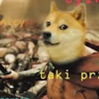 Miłosz Anwender