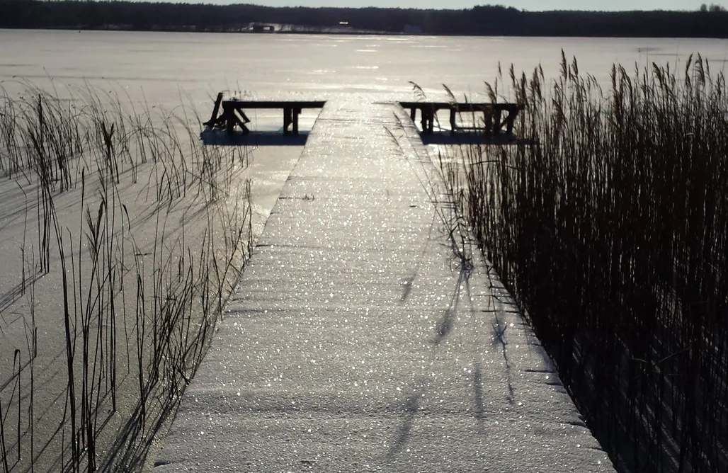 noclegi AlohaCamp Dom na Sosnowym Wzgórzu 1
