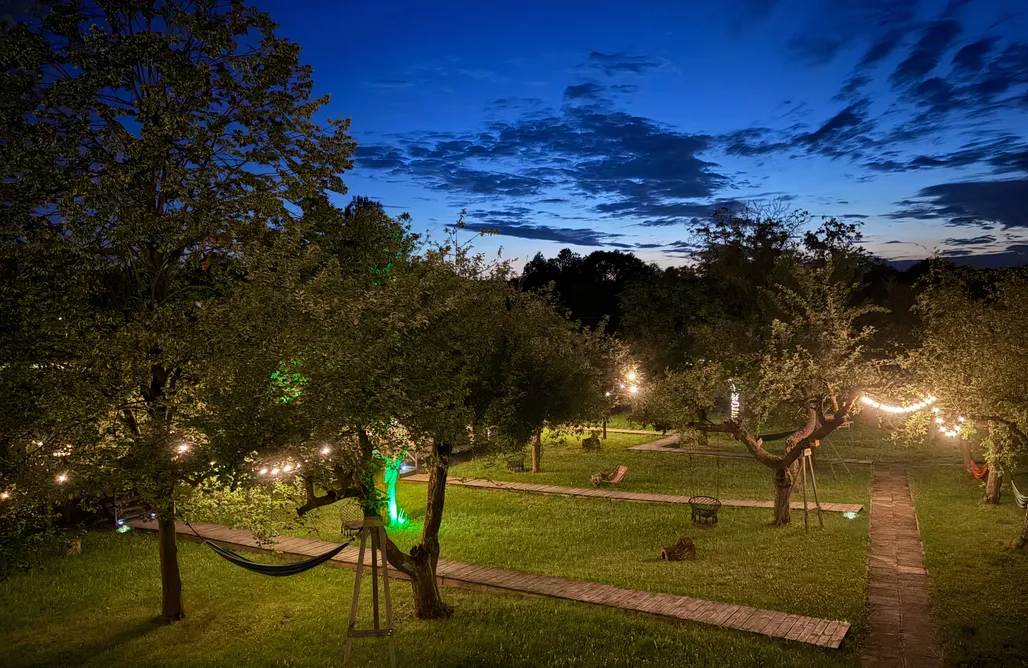 alojamientos AlohaCamp Domek kapsułowy Deluxe na palach pośród drzew 1