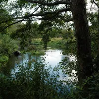 Natalia gospodarz Dworek Drawa