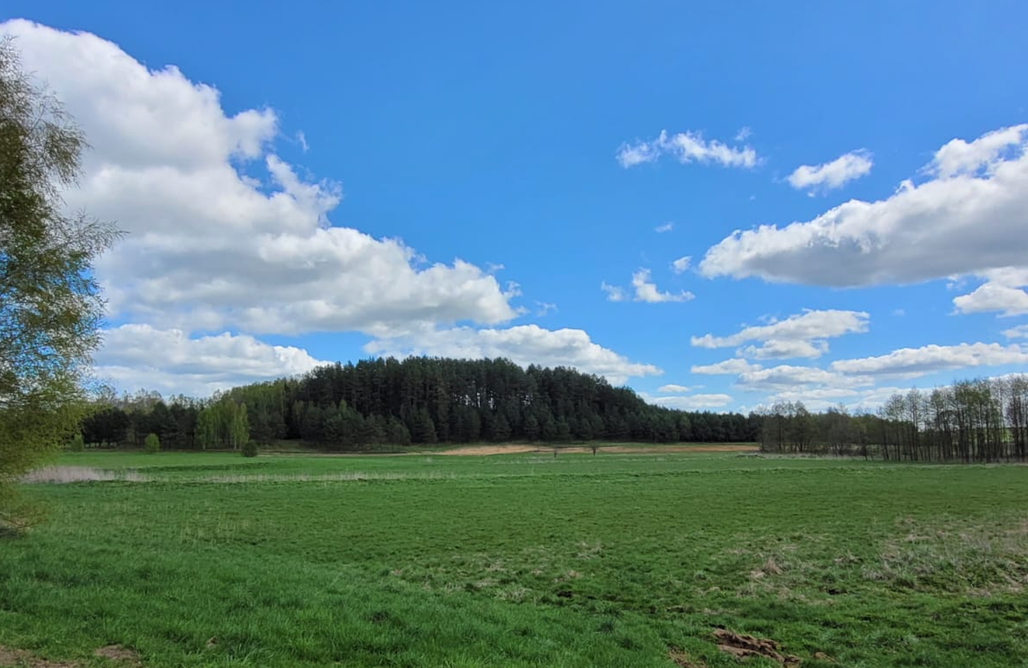 AlohaCamp Siedlisko Przy Lesie Alpaka 3 1