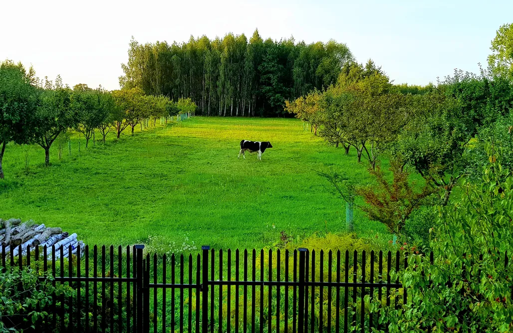 Słubica B noclegi Willa Reglówka  1