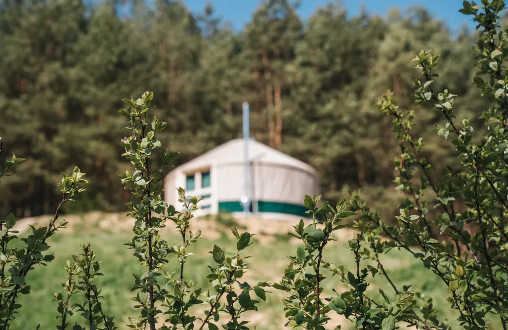 Camping Malbork Restart Kaszuby 2