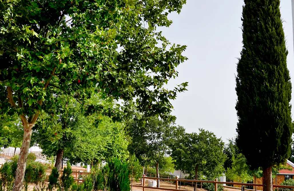 Camping Sevilla GlampINN Fuente Obejuna  1