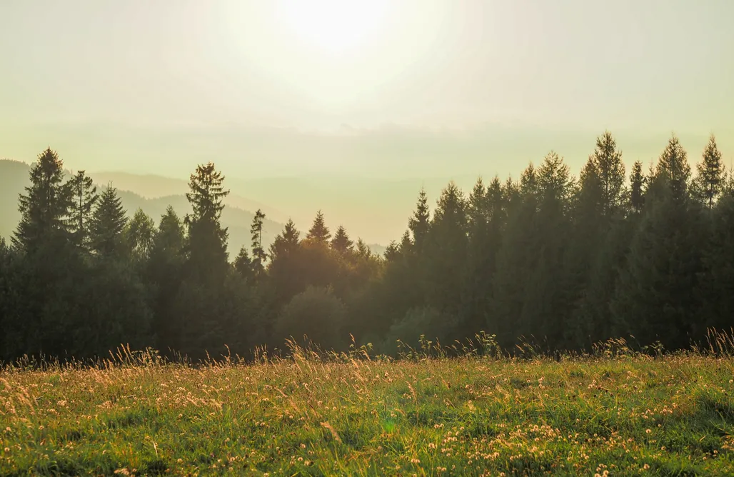 AlohaCamp HillOut – Dom w Milówce 1