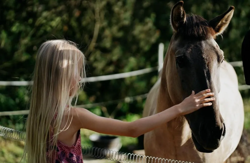 noclegi AlohaCamp Polna 17 5