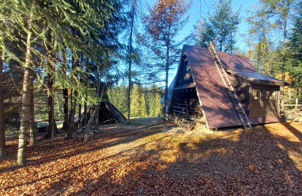 Hébergement AlohaCamp Leśna Chatka na Sznurkach 4