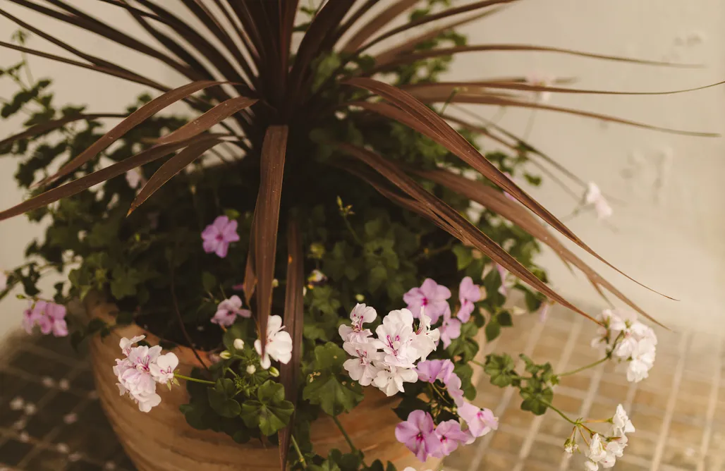 Floravista, villa de lujo para 12 personas en Valle, Piloña AlohaCamp