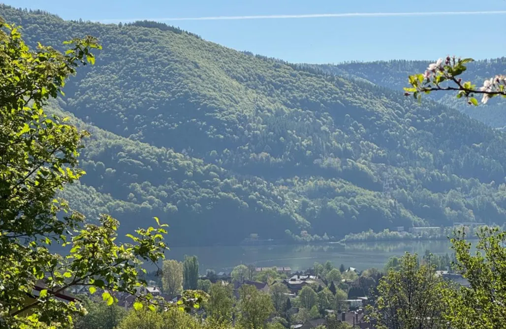 noclegi AlohaCamp Dom w górach Saganówka Beskidy 5
