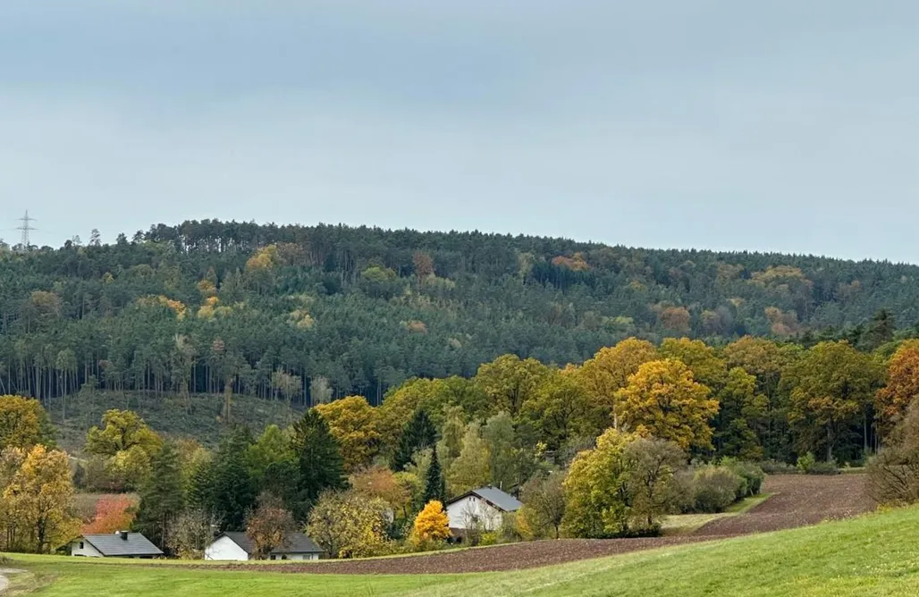 Unterkunft AlohaCamp Wunderschönes Ferienhaus Ella 5