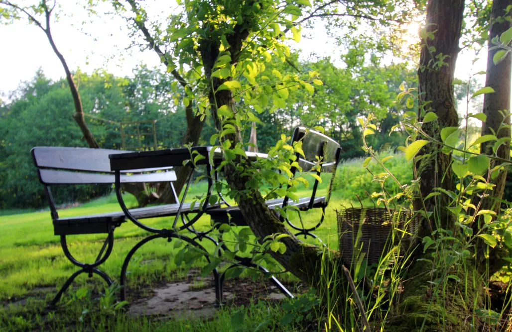 noclegi AlohaCamp Kamienny Zakątek w Górach Bystrzyckich 5