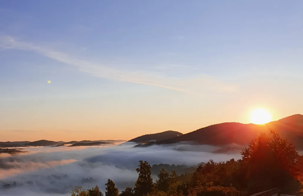 Zakopane Domki Dom na Wzgórzu Paproć 3
