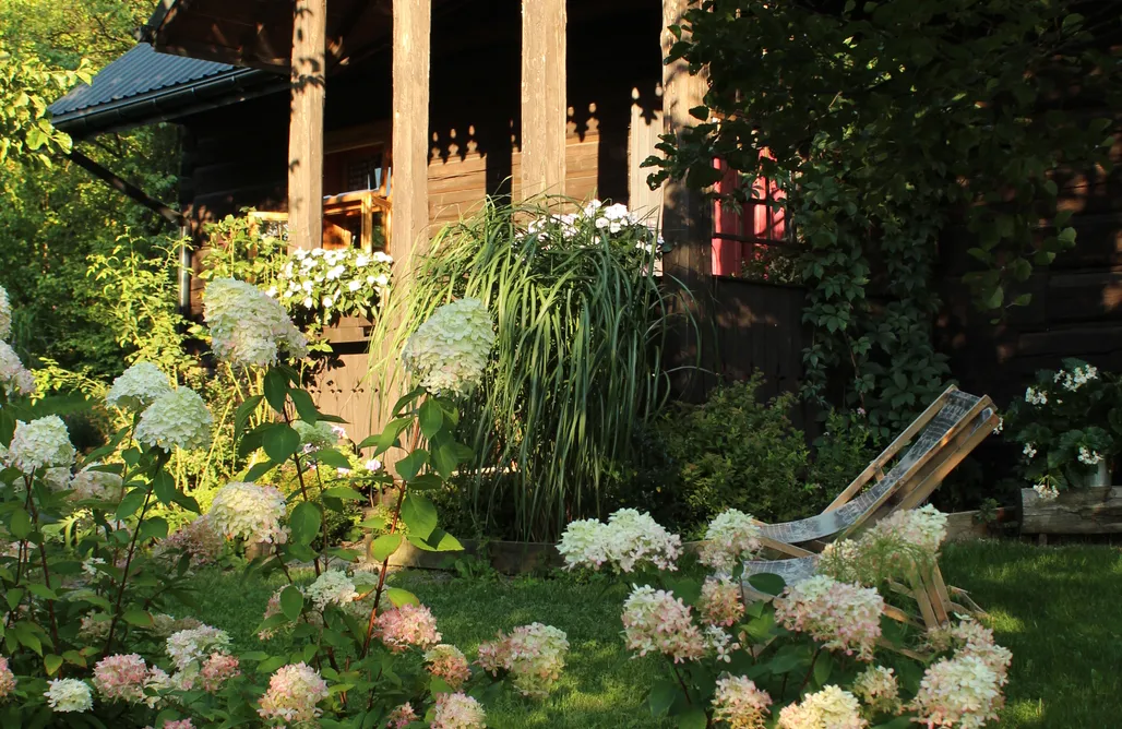 alojamientos AlohaCamp WsiaMać 1