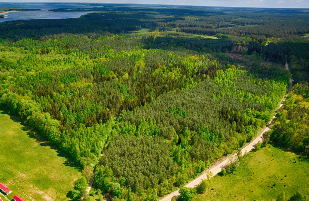 Perły noclegi Osada Wilaneska 3