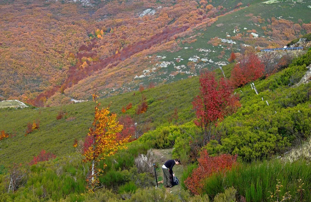 AlohaCamp accommodation Estudio en Becerril 1