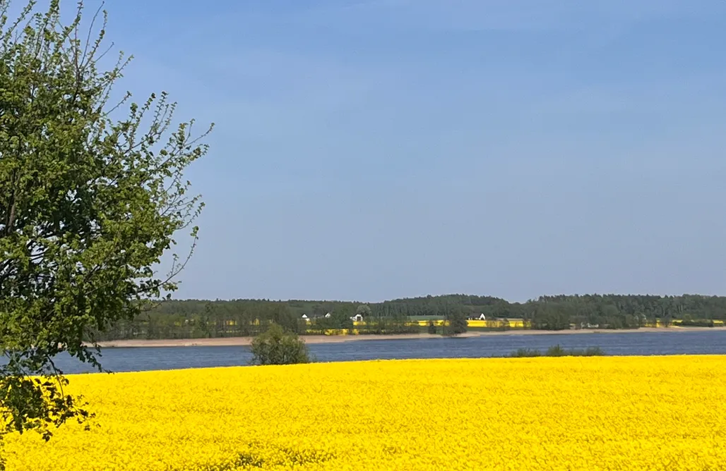 noclegi AlohaCamp Chudzewo - Dom Wypoczynkowy pod Orzechem  4