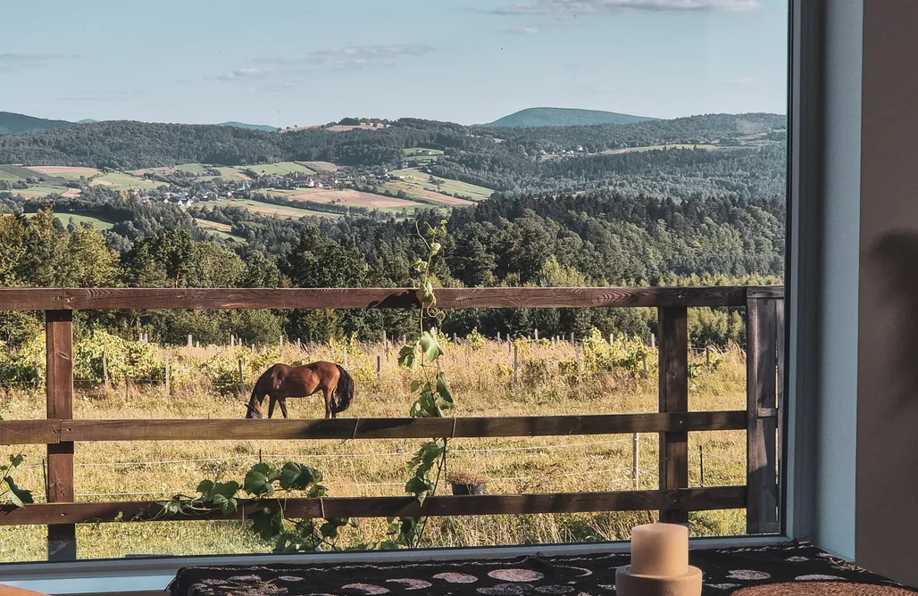 Walentynki Nomads' Hill - dom 100m2 na wyłączność 3